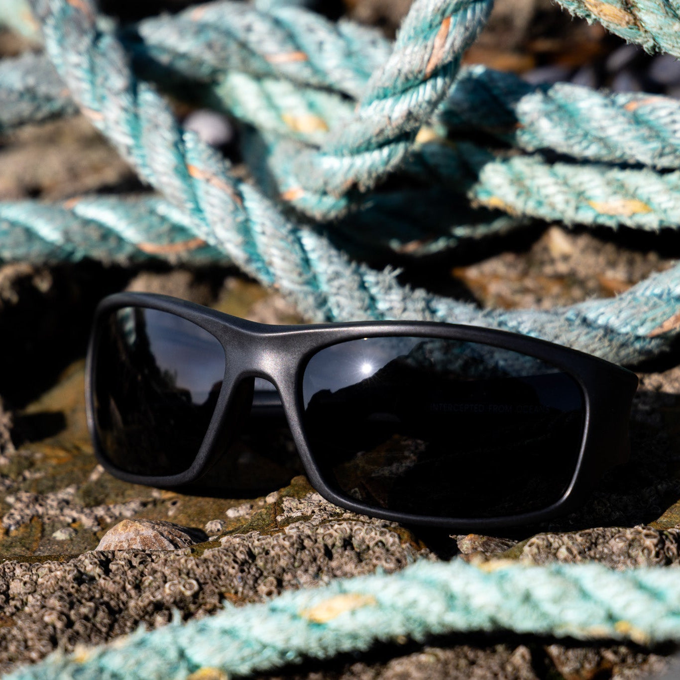 Sustainable black wraparound sunglasses with dark lenses resting on wet, rocky ground with coiled green ropes in the background. Made from waste to end waste. 