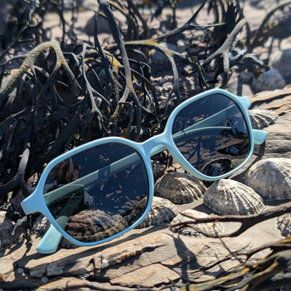 blue ocean plastic sunglasses sitting on a rock with shells and seaweed