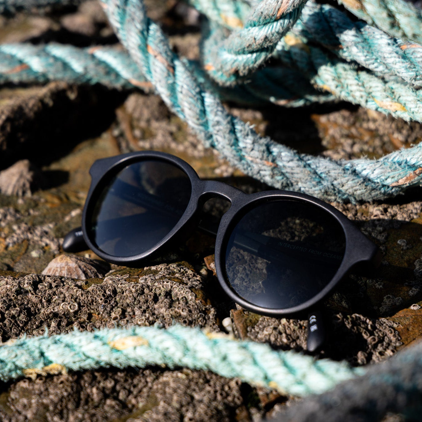 Black round-frame recycled ghost net sunglasses resting on rocks with coiled fishing ropes in the background.