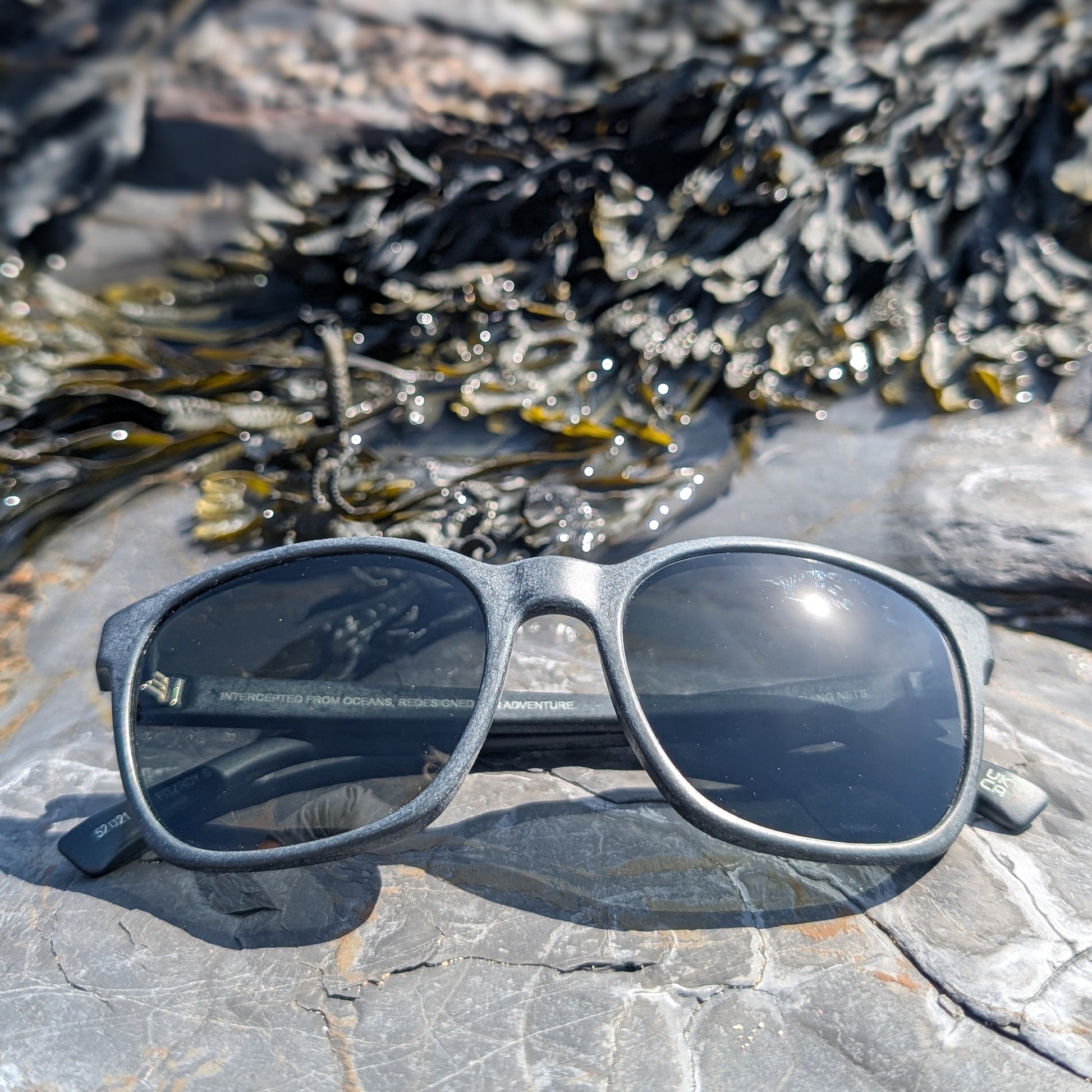 Recycled plastic sunglasses on a rock with seaweed in the background